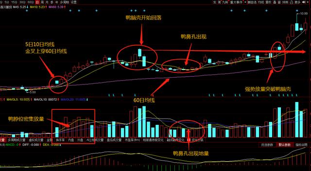 (老鸭头k线形态图解)老鸭头k线图特征及操作方法-第3张图片-牧野网