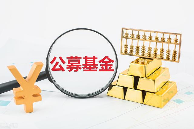 (公募基金发行申请流程)基金收益什么时候能看到？-第1张图片-牧野网