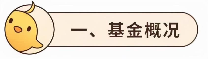 (南方新优享基金)南方新优享混合A 000527基金值得投资吗?-第2张图片-牧野网