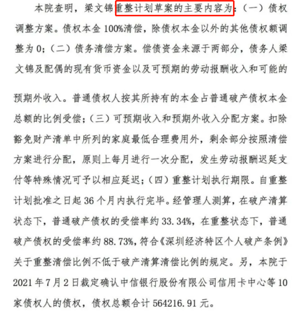 什么是破产和解/破产重整/破产清算?个人申请破产的条件-第4张图片-牧野网