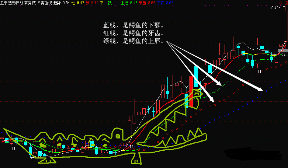 鳄鱼线指标用法精髓 鳄鱼线指标的应用技巧-第1张图片-牧野网