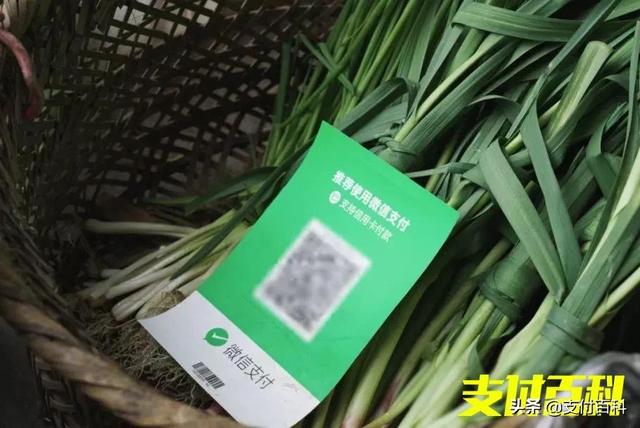 个人收款码为什么被限制?禁止个人收款码有啥影响?-第1张图片-牧野网