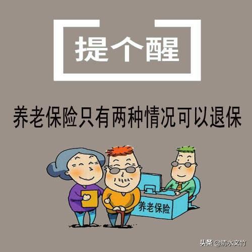 (养老保险可以退保吗)养老保险退保的条件-第1张图片-牧野网