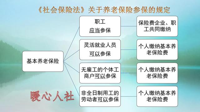 (企业社保缴纳比例是多少)单位缴纳社保和个人缴费有什么区别-第1张图片-牧野网