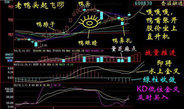 (老鸭头选股公式)老鸭头k线形态图解 如何识别“老鸭头”-第2张图片-牧野网