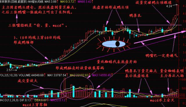 (老鸭头选股公式)老鸭头k线形态图解 如何识别“老鸭头”-第3张图片-牧野网