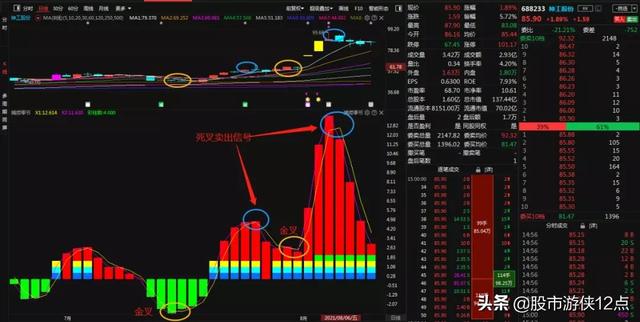 (顶格筹码选股指标公式)神工股份股票顶格筹码形态-第2张图片-牧野网