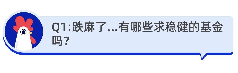 (现在买什么基金好)偏股型基金频频下跌 有哪些稳健的基金-第1张图片-牧野网