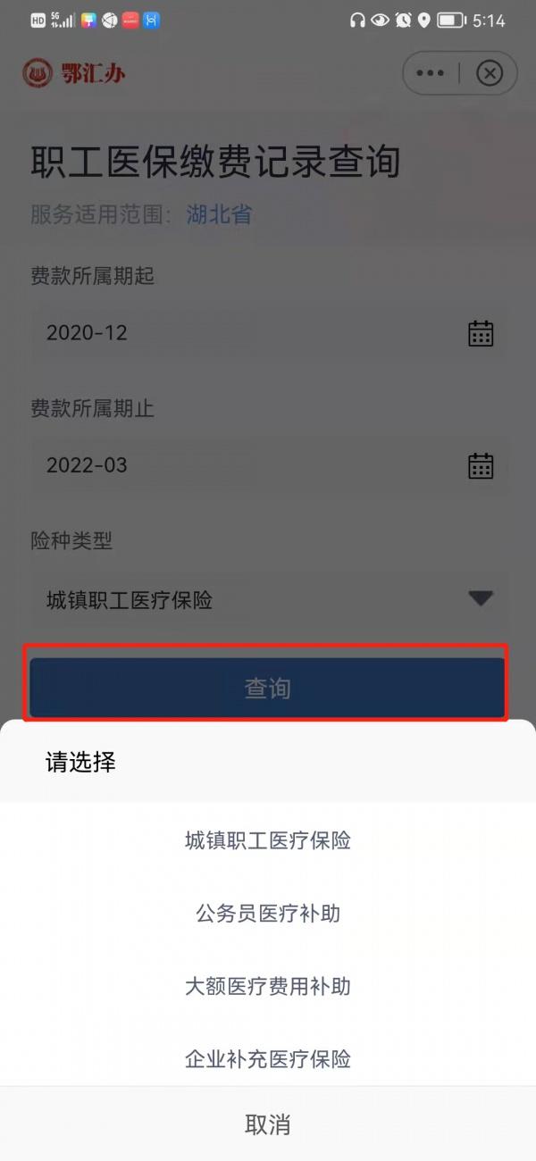 (如何查询自己的医疗保险信息)武汉个人医保账户信息怎么查-第6张图片-牧野网