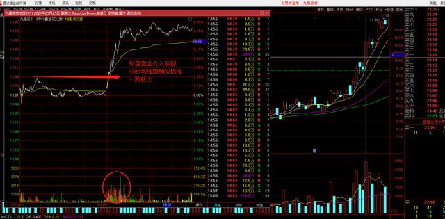 (强势股选股公式)如何选出中短线强势个股-第2张图片-牧野网