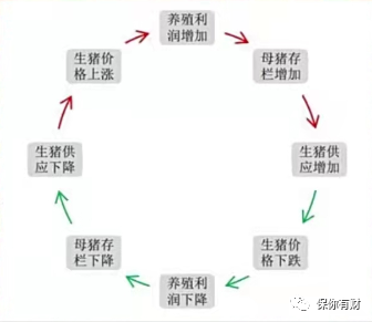 猪周期循环图 猪周期一般多久-第1张图片-牧野网