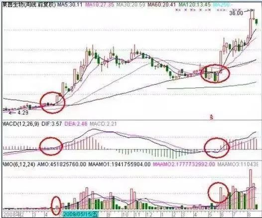 周线选股必涨法图解 实战图解周线选股技巧-第2张图片-牧野网