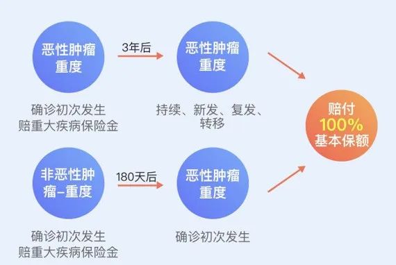 达尔文6号重疾单次赔付的性价比之选-第3张图片-牧野网