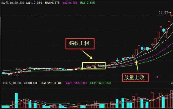 短线选股技巧 强势股回调怎么选买点买入-第5张图片-牧野网