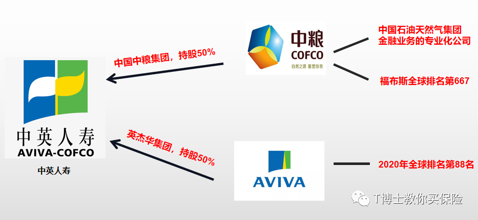 保险公司排名一览表 知名度不高却非常牛逼的保险公司有哪些-第14张图片-牧野网