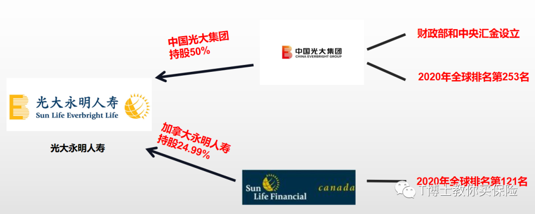 保险公司排名一览表 知名度不高却非常牛逼的保险公司有哪些-第16张图片-牧野网