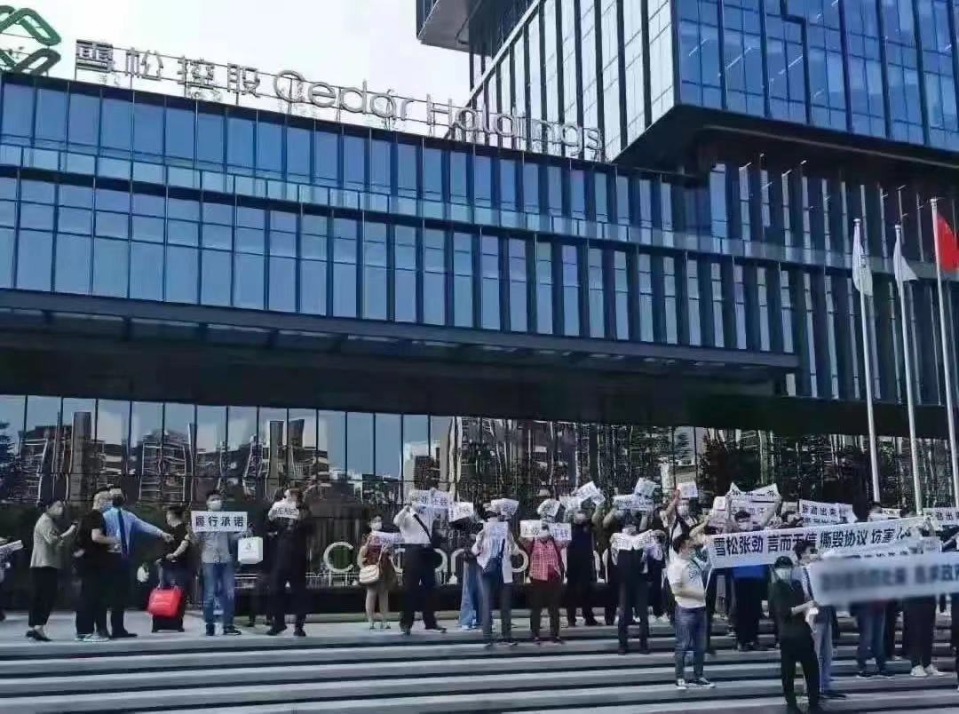 雪松控股信托产品违约 底层资产是什么意思-第1张图片-牧野网